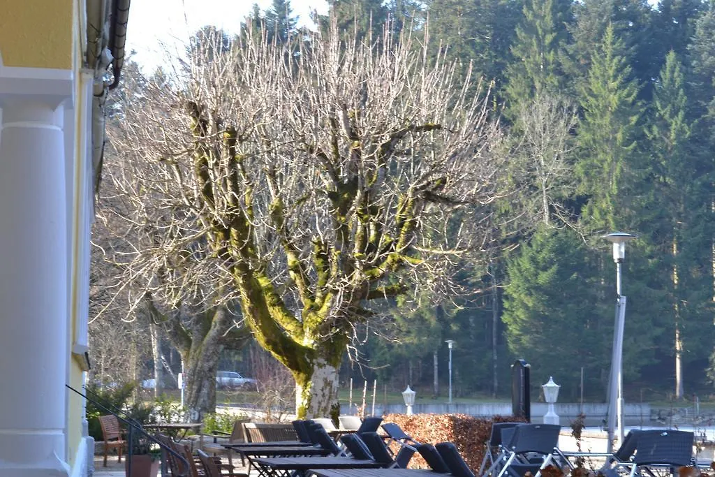 Hotel Waldsee Lindenberg im Allgau