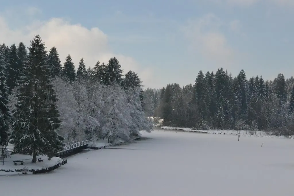 Hotel Waldsee Lindenberg im Allgau