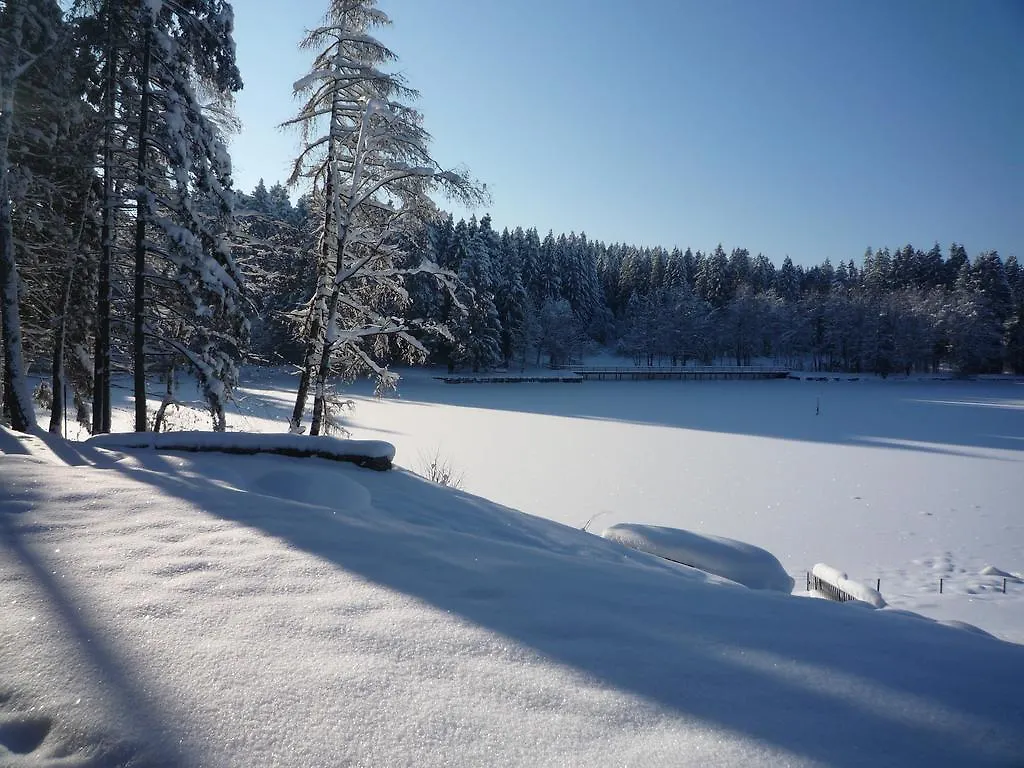 Hotel Waldsee Lindenberg im Allgau